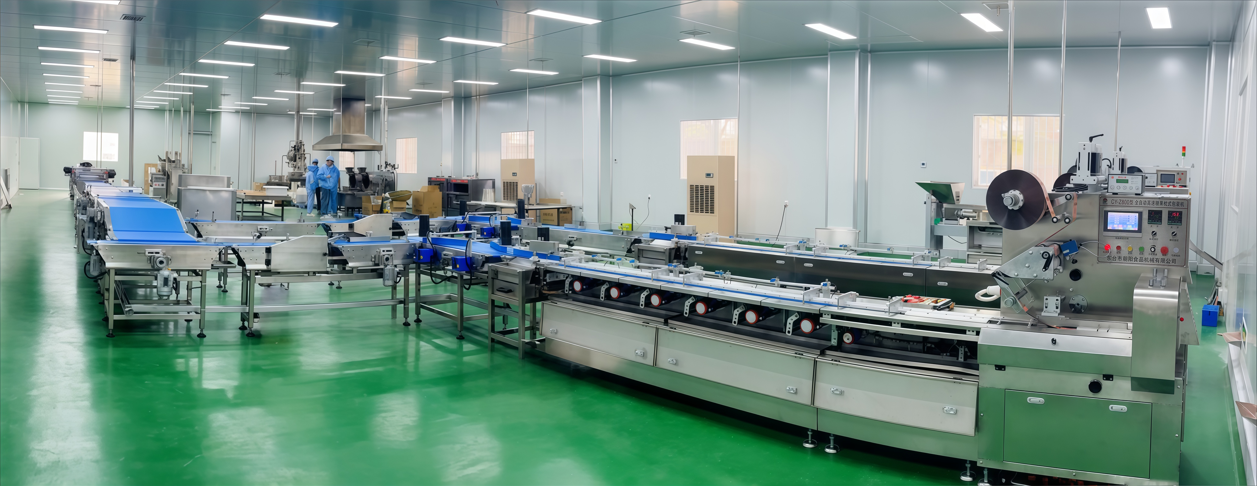 CYW-98 สายการให้อาหารและบรรจุภัณฑ์อัตโนมัติ