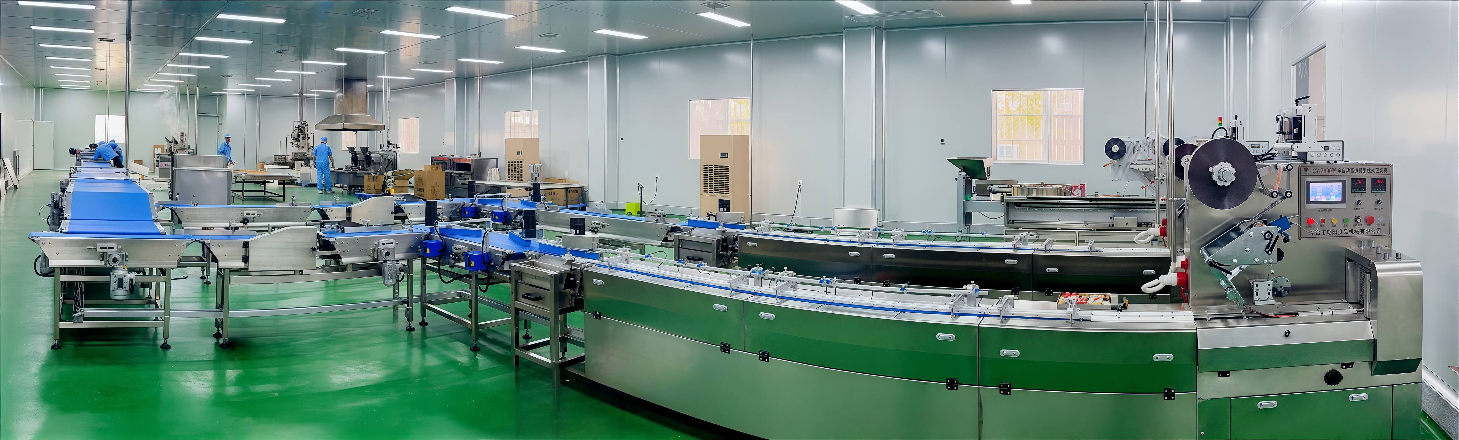 CYW-98 สายการให้อาหารและบรรจุภัณฑ์อัตโนมัติ